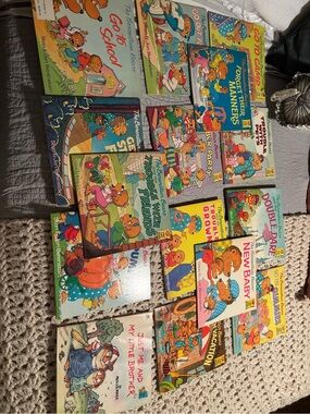 14 Berenstain Bears Book Bundle